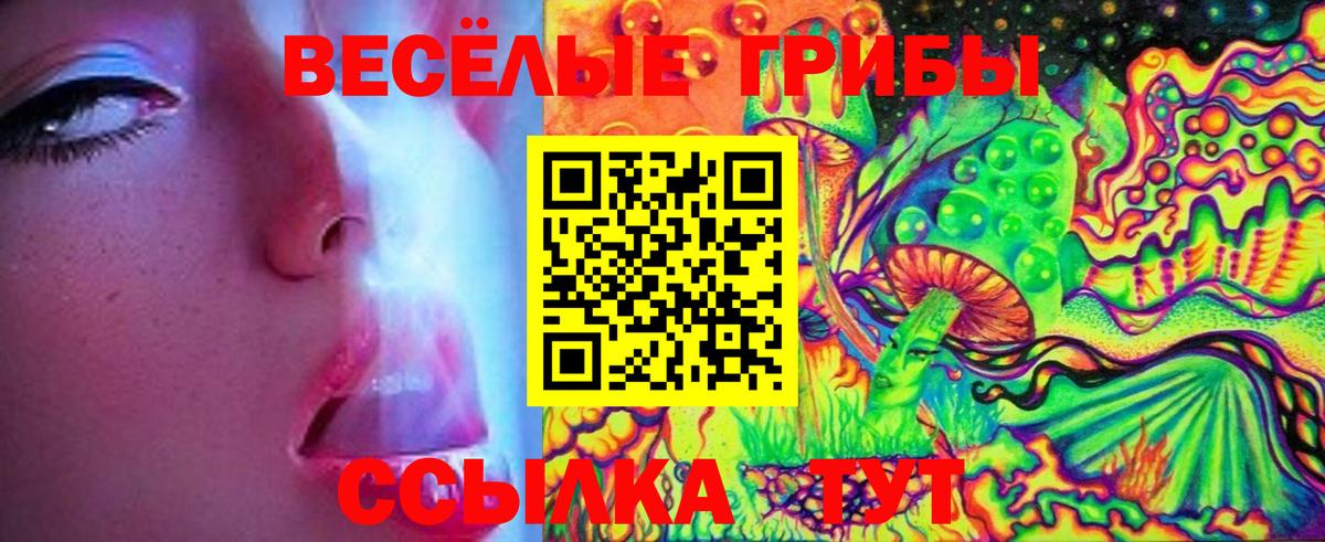 Петрозаводск  закладка  Вход с VPN  Галлюциногенные грибы мухоморы 